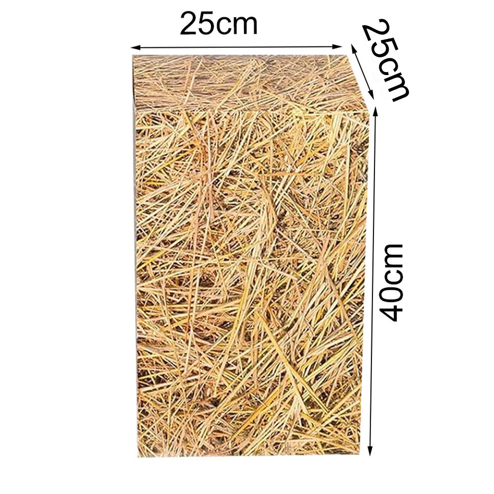 Dekorasi Pesta Ulang Tahun Kob - Cowboy Hat Straw ulasan dan harga